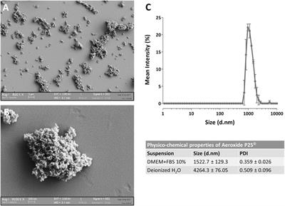 Lipopolysaccharide Adsorbed to the Bio-Corona of TiO2 Nanoparticles Powerfully Activates Selected Pro-inflammatory Transduction Pathways